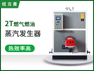 2.0T燃气燃油蒸汽蒸发器
