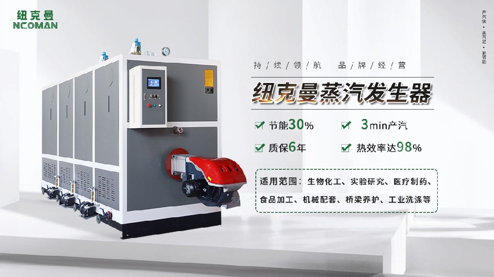 2025 全国电蒸汽发生器十大名牌，品质实力双优 